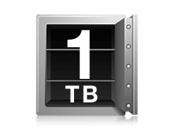 1TB Safe icon