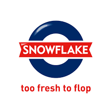 Snowflake Logo